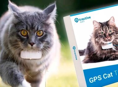 Огляд трекера для котів Tractive Cat GPS