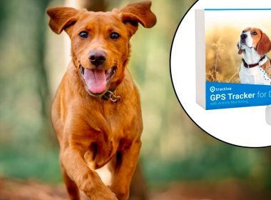 Огляд трекера для собак Tractive GPS Dog LTE Tracker