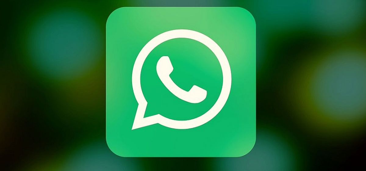 В приложении WhatsApp для Mac появились групповые видеозвонки