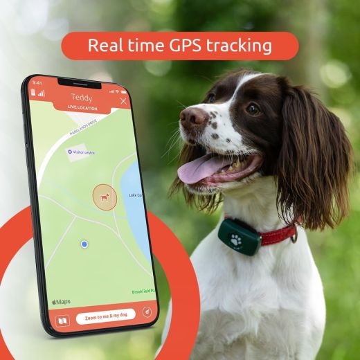 GPS-трекер для собак PitPat Dog GPS Tracker (без подписки)