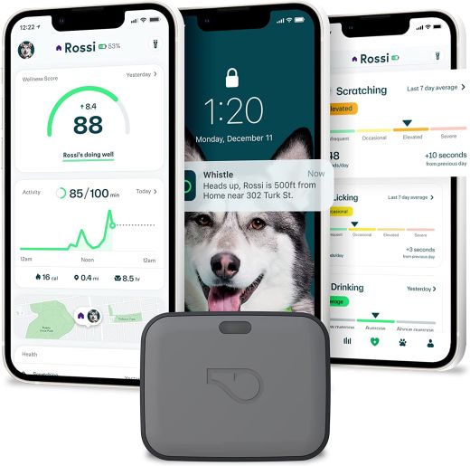 Трекер для собак Whistle Ultimate Dog GPS Tracker Plus Dog Health & Fitness Monitor Grey