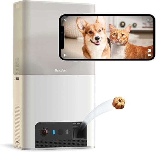 Інтерактивна HD-камера Petcube Bites 2 Lite відеоспостереженя для домашніх тварин (BL10US)