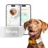 GPS-трекер для собак Petcube GPS Tracker for Dogs