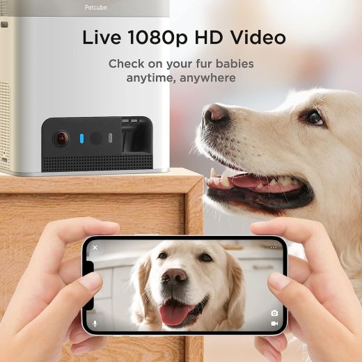 Интерактивная HD-камера Petcube Bites 2 Lite видеонаблюдения за домашними животными (BL10US)