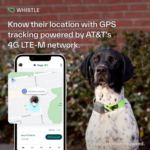 Трекер для собак Whistle Whistle Ultimate Dog GPS Tracker Plus Dog Health & Fitness Monitor Grey