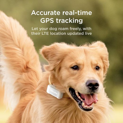 GPS-трекер для собак Petcube GPS Tracker for Dogs