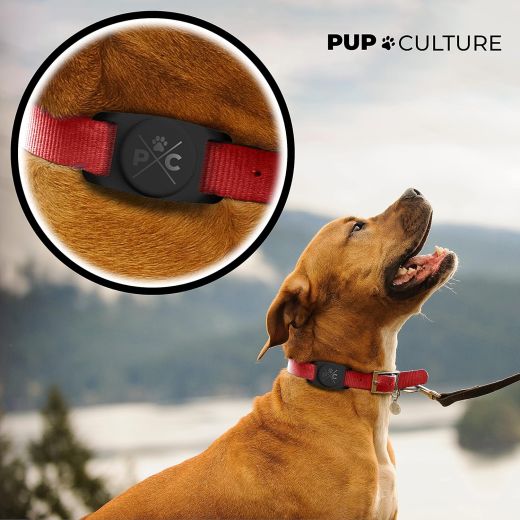 Чохол на ошийник Pup Culture AirTag Dog Collar Holder Black для AirTag