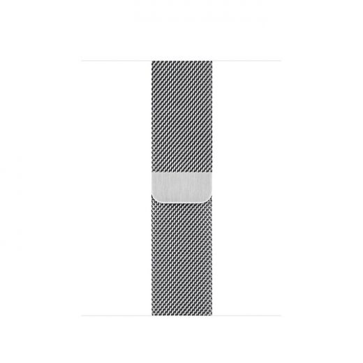 Apple Watch Series 6 (GPS + Cellular) 40mm Silver Stainless Steel Case with Milanese Loop (M02V3)