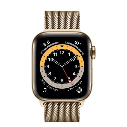 Apple Watch Series 6 (GPS + Cellular) 40mm Gold Stainless Steel Case with Milanese Loop (M02X3)