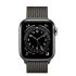 Apple Watch Series 6 (GPS + Cellular) 40mm Graphite Stainless Steel Case with Milanese Loop (MG2U3)