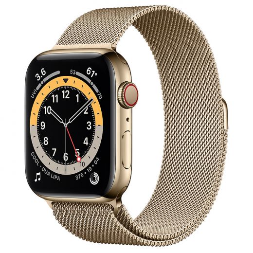 Apple Watch Series 6 (GPS + Cellular) 44mm Gold Stainless Steel Case with Milanese Loop (M07P3)