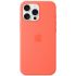 Силіконовий чохол CasePro Silicone Case with MagSafe (Camera Control) Tangerine для iPhone 16 Pro Max Силіконовий чохол CasePro Silicone Case with MagSafe (Camera Control) Tangerine для iPhone 16 Pro Max