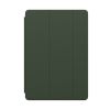 Оригінальний чохол-книжка Apple Smart Cover Cyprus Green для iPad (9th generation) (MGYR3)
