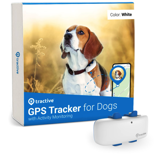 GPS-трекер для собак Tractive GPS Dog 4G LTE White
