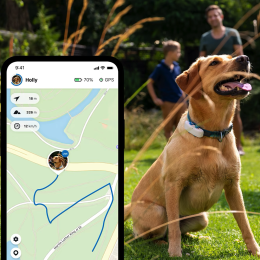 GPS-трекер для собак Tractive GPS Dog 4G LTE White