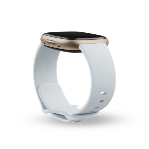 Смарт-часы Fitbit Sense 2 Blue Mist