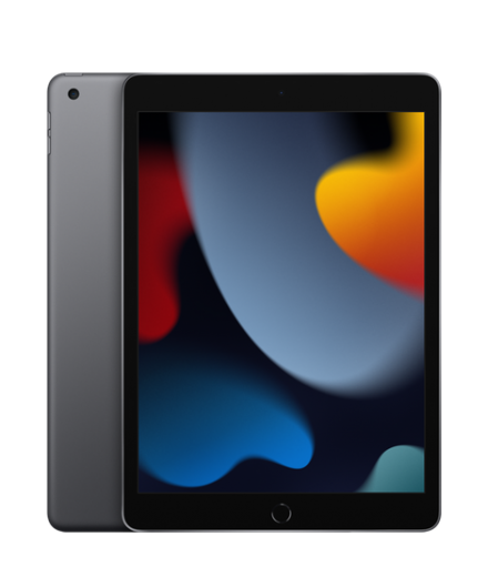 Планшет Apple iPad 10.2" 2021 Wi-Fi 256Gb Space Grey (MK2N3)