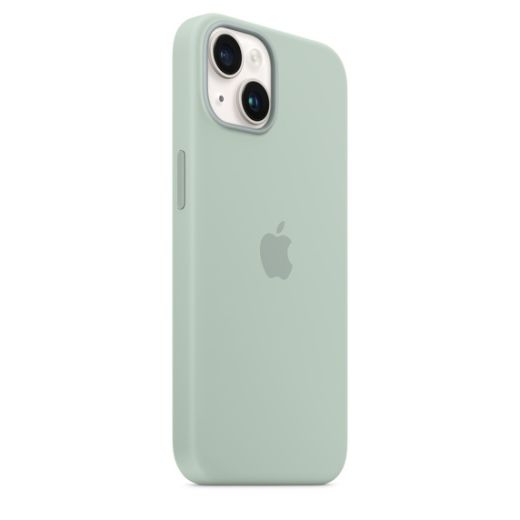 Силиконовый чехол CasePro Silicone Case with MagSafe Succulent для iPhone 14