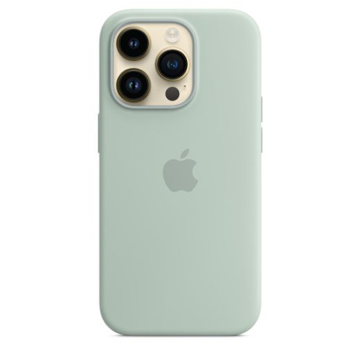 Силиконовый чехол CasePro Silicone Case with MagSafe Succulent для iPhone 14 Pro Max