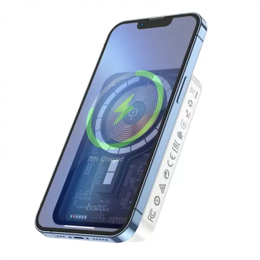Повербанк (внешний аккумулятор) Hoco Q10 Transparent