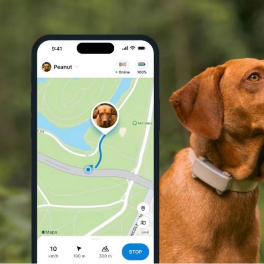 GPS-трекер для собак Tractive GPS Tracker 6  for Dogs Brown