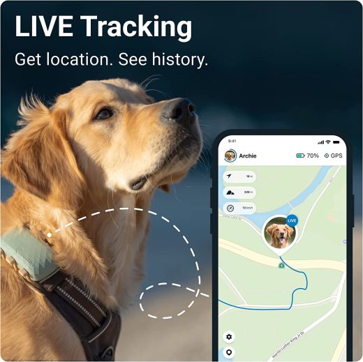 GPS-трекер для великих собак Tractive Dog Green XL Tracker